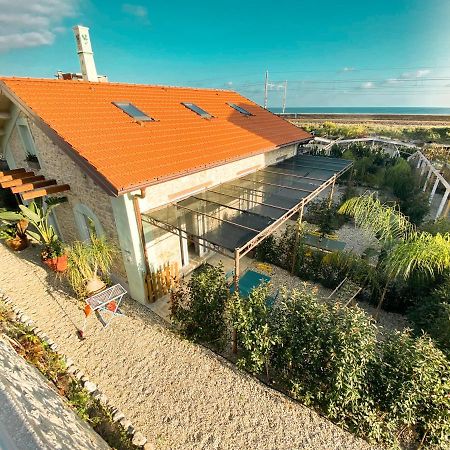 Appartamento New Agriloft 4 Palms clima, giardino e Wi-Fi a 50 mt dal mare Bordighera Esterno foto