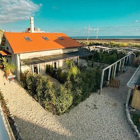 Appartamento New Agriloft 4 Palms clima, giardino e Wi-Fi a 50 mt dal mare Bordighera Esterno foto