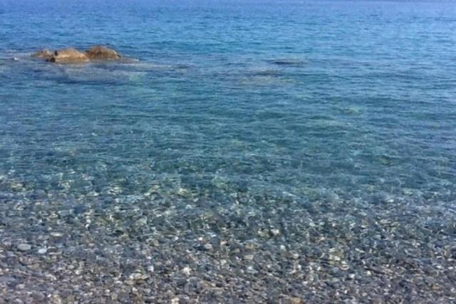 Appartamento New Agriloft 4 Palms clima, giardino e Wi-Fi a 50 mt dal mare Bordighera Esterno foto